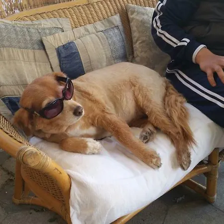 Portofino ラッパロ