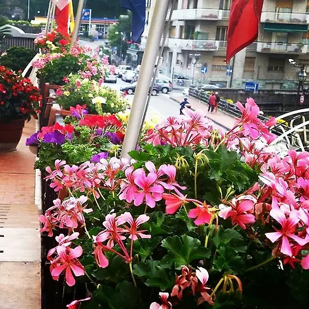 Portofino Hotell