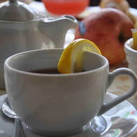 波托菲诺酒店 2* 拉帕洛